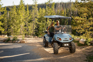 Whitaker's Golf Carts, Inc Parts Department